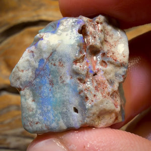 35.3cts - Lightning Ridge Opal Rough Piece