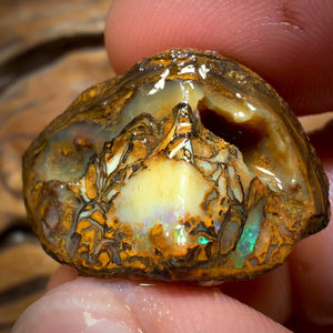 🔨 AUCTION 🔨 No Reserve 42.7cts - Tribal Yowah Nut Opal Rough Piece