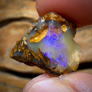 🔨 AUCTION 🔨 24.2cts - Boulder Pipe Opal Rough Piece. Australian Opal