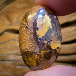 🔨 AUCTION 🔨 No Reserve 20.3cts - Yowah Nut Kernel Opal. Australian Boulder Opal