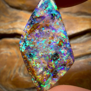 16.6cts - Gem Australian Boulder fossil replacment Opal