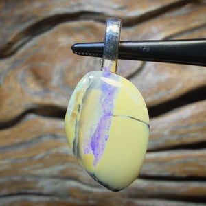 📣 OPALFEST 🔨 AUCTION 🔨 No Reserve 15.3cts - Solid Yowah Nut Opal Pendant