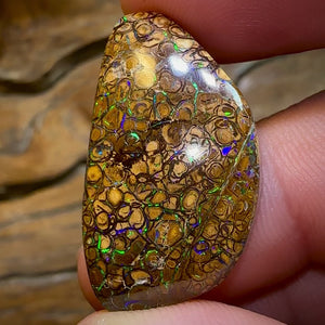 31.4cts - Australian Boulder Opal. Yowah Tribal