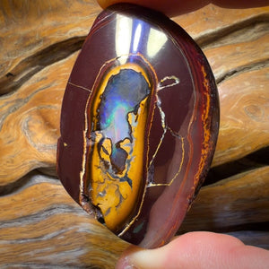 448.4cts - “To Cut or Not To Cut” Yowah Nut Kernel Opal. Polished Specimen