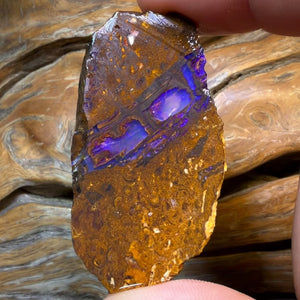 HDW 139.8cts - Opalised Fossil Replacement Boulder Opal Rough Piece