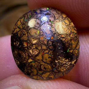 8.4cts - Tan Tribal Yowah Nut Opal. Red Multicolours!