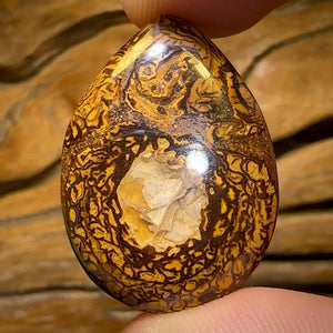 39.1cts - Yowah Nut Crystal Centre Opal. Australian Boulder Opal