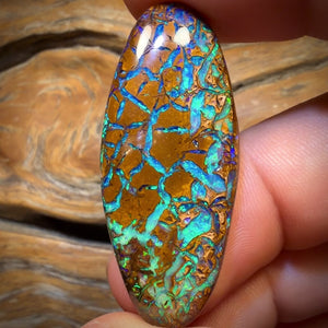 40.4cts - TOP Tan Tribal Australian Boulder Opal from Yowah