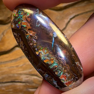 41.7cts - Tribal Queensland Boulder Opal from Koroit
