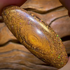47.4cts - Tight Tan Tribal Queensland Boulder Opal from Yowah