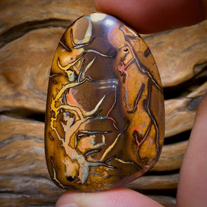 48-Hour VIP Crazy Offer 123.1cts - Tribal Queensland Boulder from Yowah Picture Stone