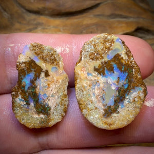 31.5cts - Yowah Fossil Opal Rough Pair. Australian Opal