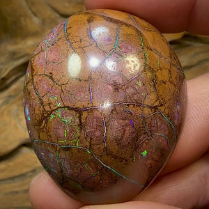 160cts - Large Yowah Nut Opal. Tribal Pattern