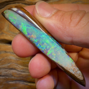 96.2cts - “Adams Rib”GEM Fossil Crystal Opal. Isaac’s Cut!
