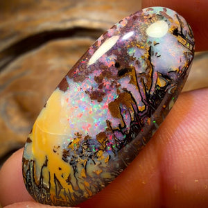 🔨 AUKTION 🔨 Ohne Mindestpreis 27,8cts – Tribal Queensland Boulder Opal. Rot, mehrfarbig