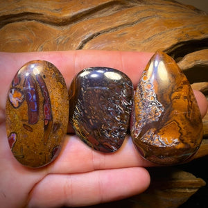 295.1cts - 3x Australian Tribal Boulder Opal’s. Wholesale Dealers Parcel $0.50c/ct