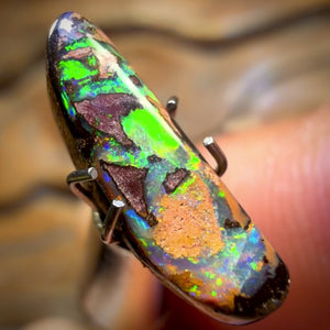 🔨 AUCTION 🔨 Reserve 💎 High Roller Banger Auction 💎 1.8cts - Yowah Nut Kernel Opal. Australian Boulder Opal
