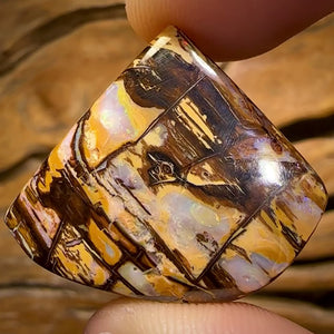58.6cts - Australian Boulder Wood Fossil Opal Cathedral Type Pattern