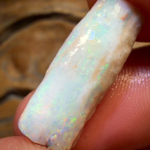 9.9cts - Opalised Belemnite Geological Specimen from South Australia