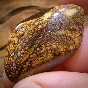 53.6cts - Tribal Australian Boulder Opal from Yowah