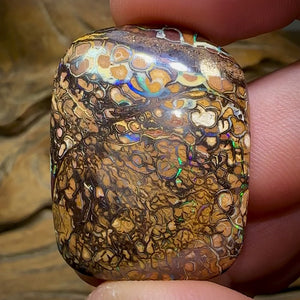 69.3cts - Yowah Nut Opal. Tribal Pattern