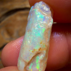 12.6cts - Opalised Belemnite Geological Specimen from South Australia