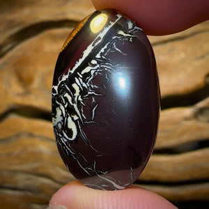 38.4cts - Queensland Boulder Opal from Koroit Great Landscape Picture Stone