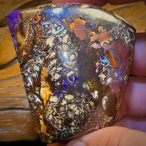 910.5cts - Large Tribal Queensland Boulder Opal. Polished Specimen