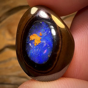 21.7cts - RARE Yowah Nut Crystal Centre Opal