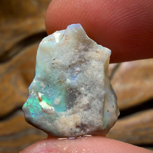 8.6cts - Lightning Ridge Dark Opal Rough Piece