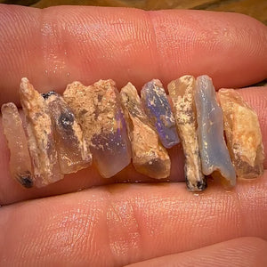 24.1cts - 9x Opalised Fossil Geological Specimens from Lightning Ridge