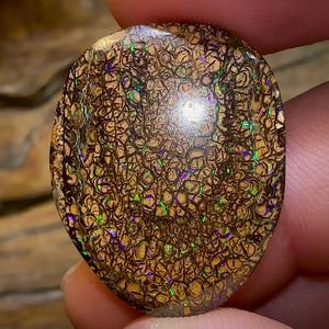 32.3cts - Yowah Nut Tribal Opal