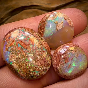 34.9cts - 3x Finished Queensland Boulder Pipe Opals. Wholesale Dealers Parcel