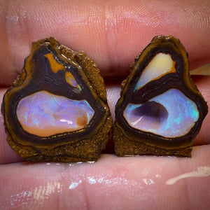 49.7cts - “Owl Eyes”Yowah Nut Partial Crystal Centre Rough Specimen Pair