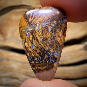 13.1cts - Tribal Yowah Nut Opal. Australian Opal