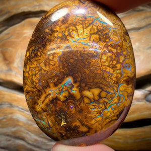 113.4cts - 50% Off Yowah Nut Opal. Australian Opal