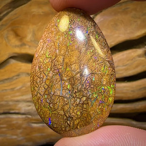 61.7cts - Tight Tan Tribal Yowah Nut Opal. Australian Opal