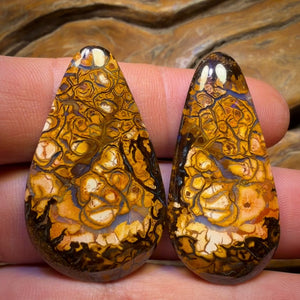 75.6cts - Tribal Queensland Boulder Opal Pair