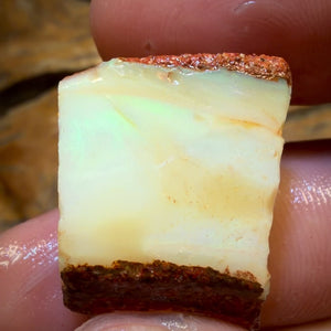 🔨 AUCTION 🔨 No Reserve 34.1cts - Boulder Pipe Opal Rough Piece. Australian Opal