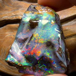 “Set in Stone” - Private Collector Acquisition- “Genesis” 247.1cts - Top Australian Boulder Seam Opal Specimen Polished