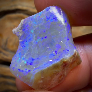 25.2cts - Lightning Ridge Opal Rough Piece. Isaac’s Cutter’s!
