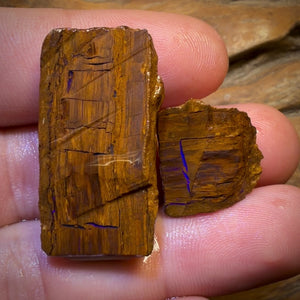 58.5cts - Opalised Wood/Vegetation Fossil Rough Pair from Yowah