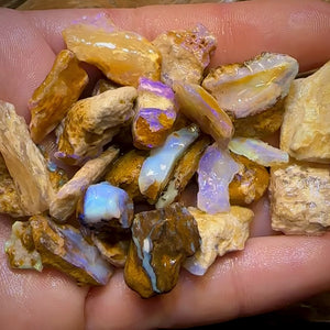 208.5cts - 25x Opalised Wood/Vegetation Fossil Rough Parcel from Yowah