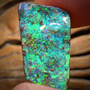 Banger Card! 21.1cts - Top Reef Pattern Queensland Boulder Seam Opal