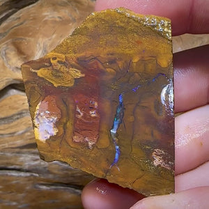 347cts - Block Slab of Queensland Boulder Opal Rough