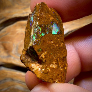 Wildcard! 38.4cts - Tribal Yowah Nut Opal Rough Piece
