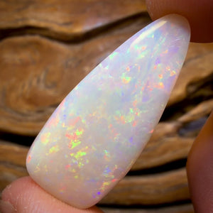 26.9cts - Olympic, South Australian White Opal