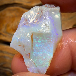 Wildcard! 19.3cts - Lightning Ridge Opal Rough Piece