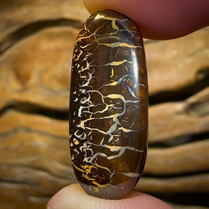 Auction Fall-Through = Your Gain! 🔥 Now More Than 50% Off RRP 🚨 20.1cts - “hieroglyphic Dancers” Crazy Pattern Queensland Boulder Opal from Koroit Art of Opal Worthy