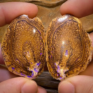 209.4cts - “Tribal Leaves” Yowah Nut Opal Polished Specimen Pair
